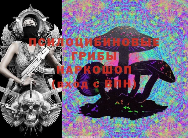 хмурый Абинск
