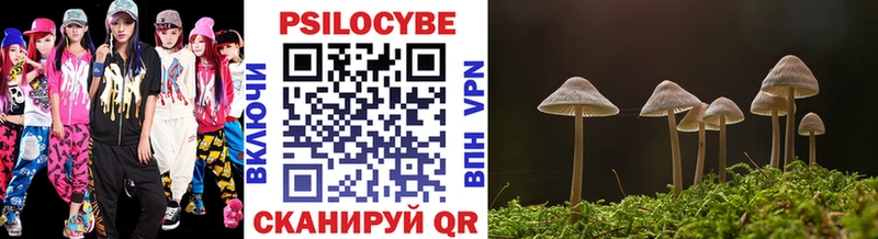 Галлюциногенные грибы Cubensis  Красавино 